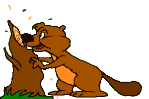 Gif castor